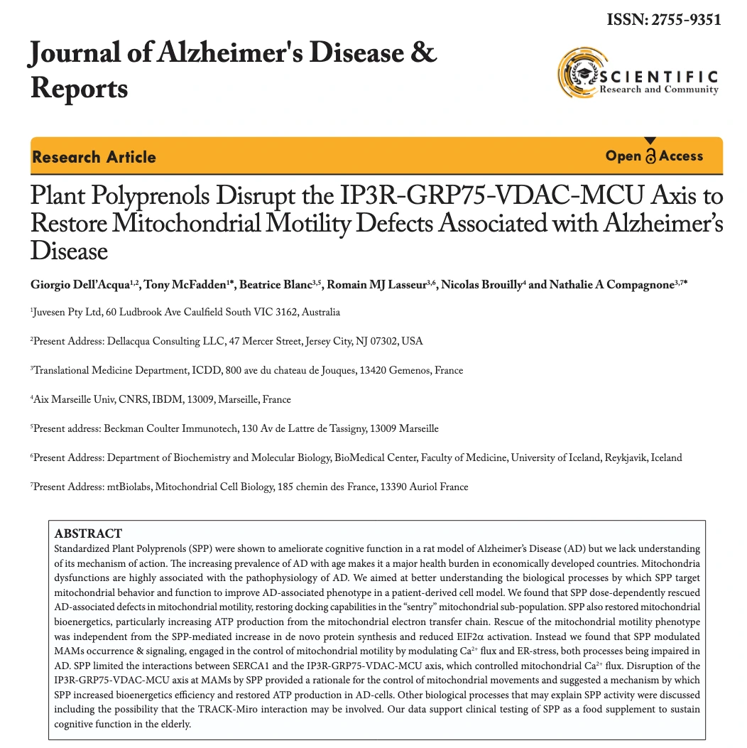 Article thumbnail of Alzheimer's mitochondrial motility study